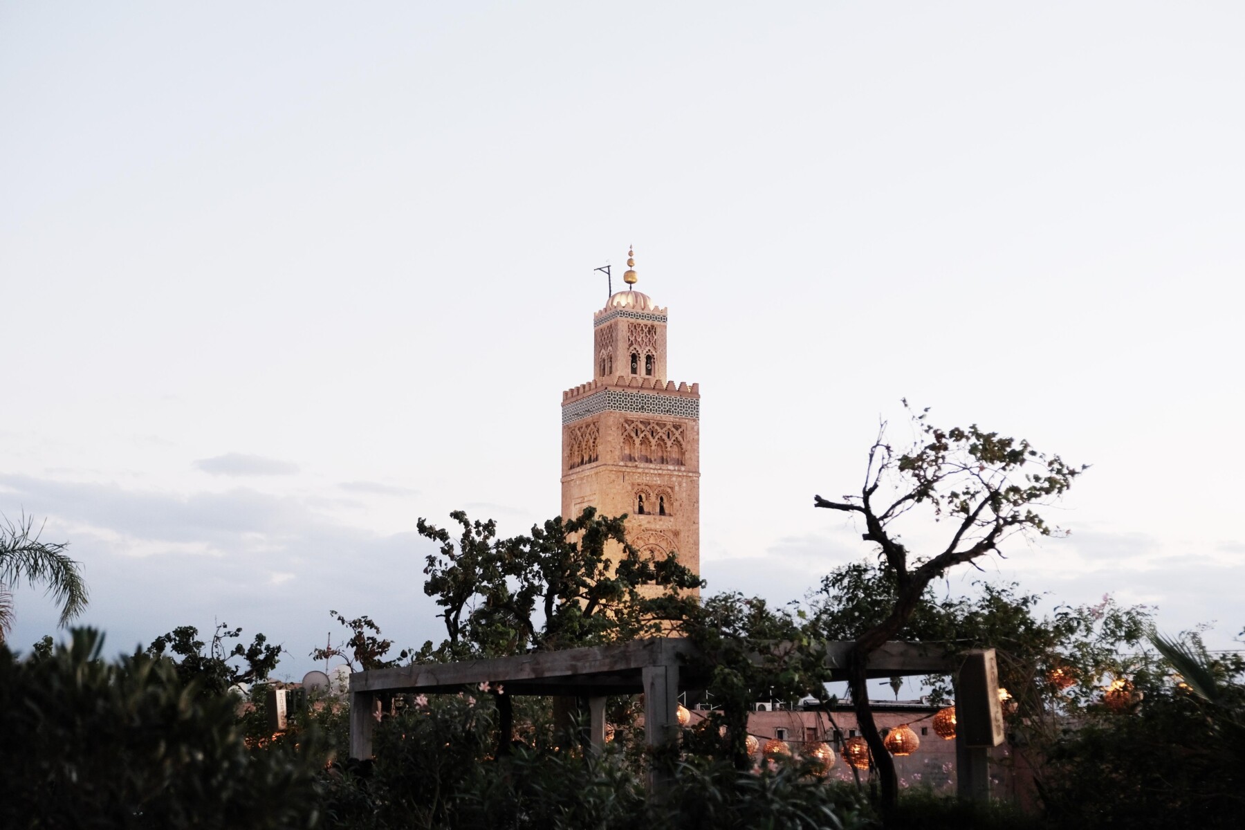Friday Night in Marrakech Best Rooftops and Cocktails