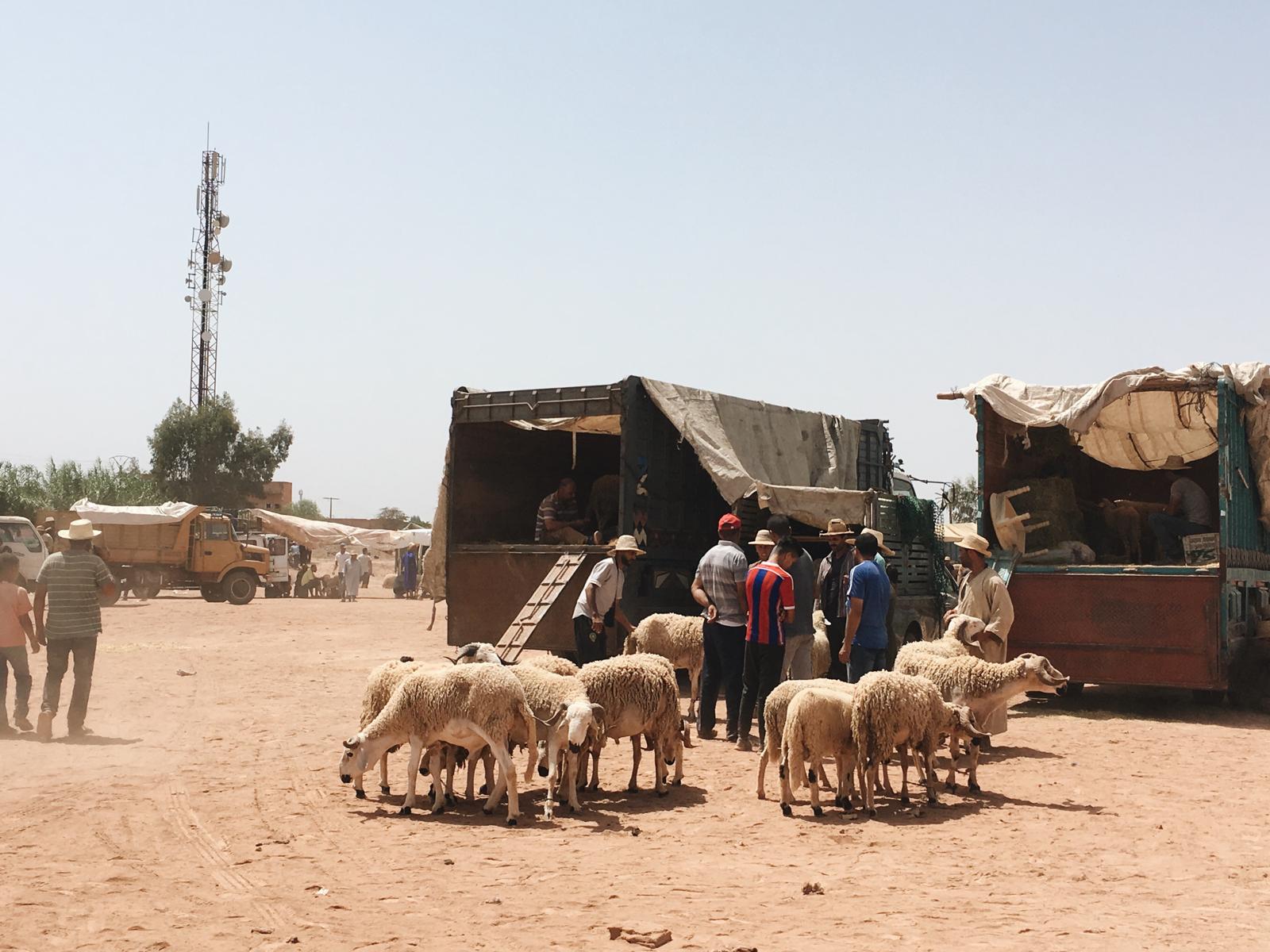 What to expect during Eid El Adha in Marrakech 1